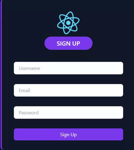 React Input Validation App